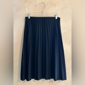 Everlane Black Midi A-Line Pleated Skirt